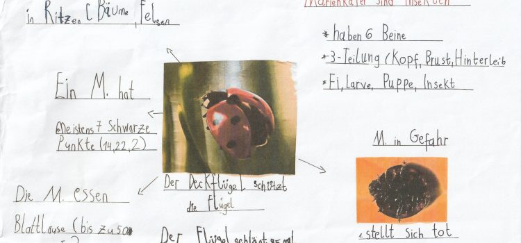 Die Ameise und der Marienkäfer Die Ameise und der Marienkäfer